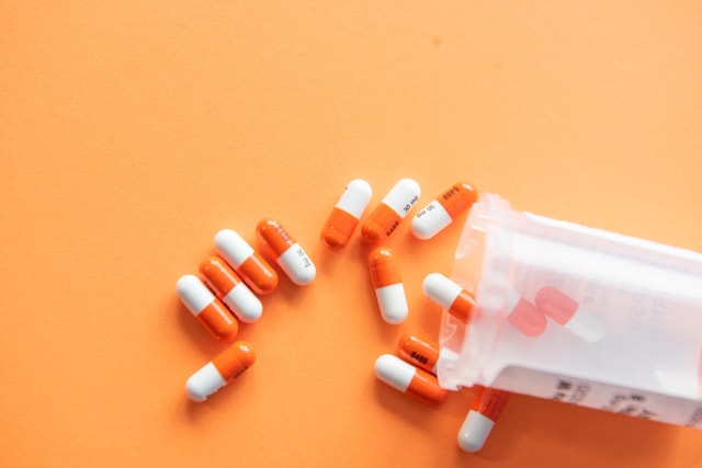 Différents formats de bois bandé avec dosages recommandés